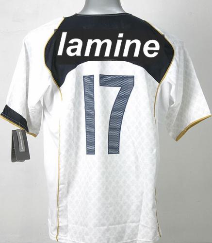 lamine